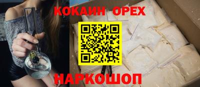 крисы Пенза