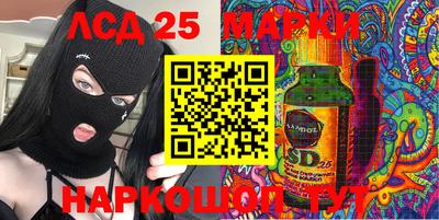 крисы Пенза