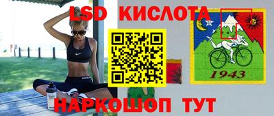крисы Пенза