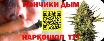 крисы Пенза