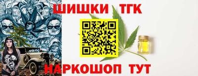 крисы Пенза