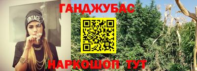 крисы Пенза
