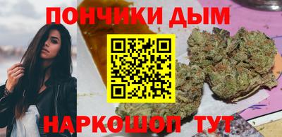 крисы Пенза