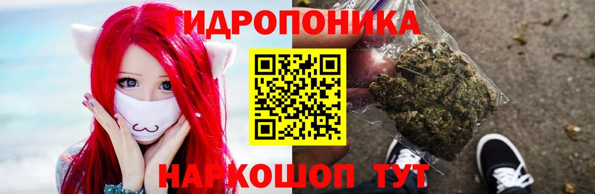 Каннабис план  Вход с VPN  Марихуана гибрид  Марихуана семена  Шишки марихуана гибрид  Псков 